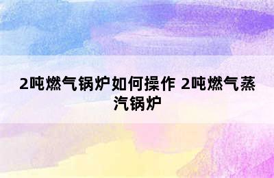 2吨燃气锅炉如何操作 2吨燃气蒸汽锅炉